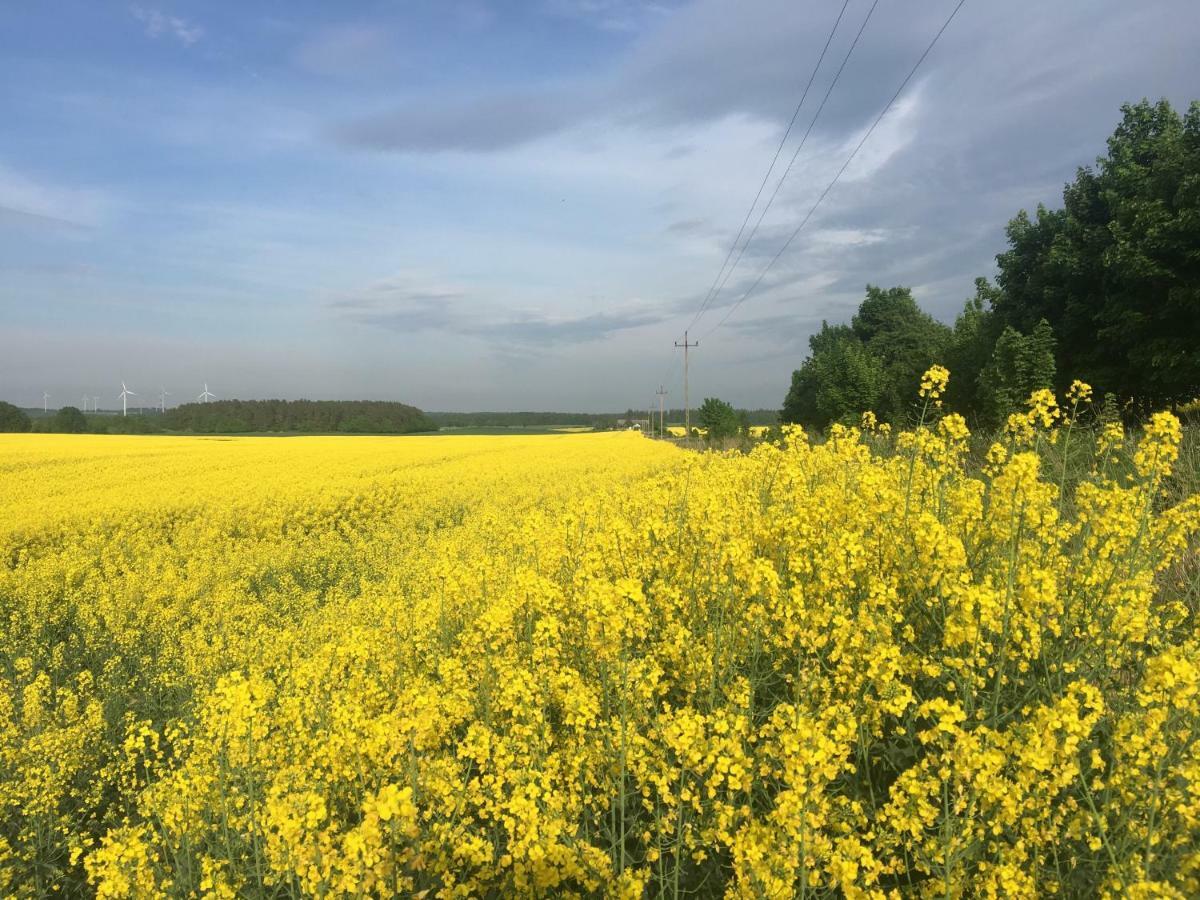 Las, Woda I Przygoda - Dom Z Sauna I Basenem Choczewo Esterno foto